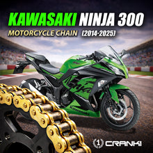 Load image into Gallery viewer, Chain For Kawasaki Ninja 300 (2014-2025) - 520 Pitch x 106 Links Gold (ZVMX) - CRANK1