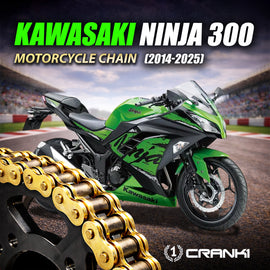 Chain For Kawasaki Ninja 300 (2014-2025) - 520 Pitch x 106 Links Gold (ZVMX) - CRANK1
