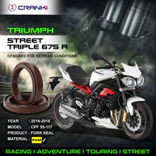 Load image into Gallery viewer, Fork Oil Seals Pair For Triumph Street Triple 675 R (2014-2016) - CPF55-117 - CRANK1