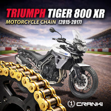 Load image into Gallery viewer, Chain For Triumph Tiger 800 XR (2015-2017) - 525 Pitch x 124 Links Gold (ZVMX) - CRANK1
